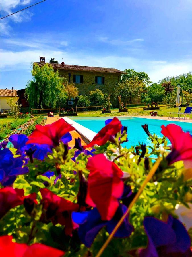 Вилла Agriturismo Vista Sole Mercatale  Экстерьер фото